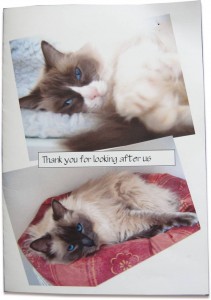 Cattery customer thank you card