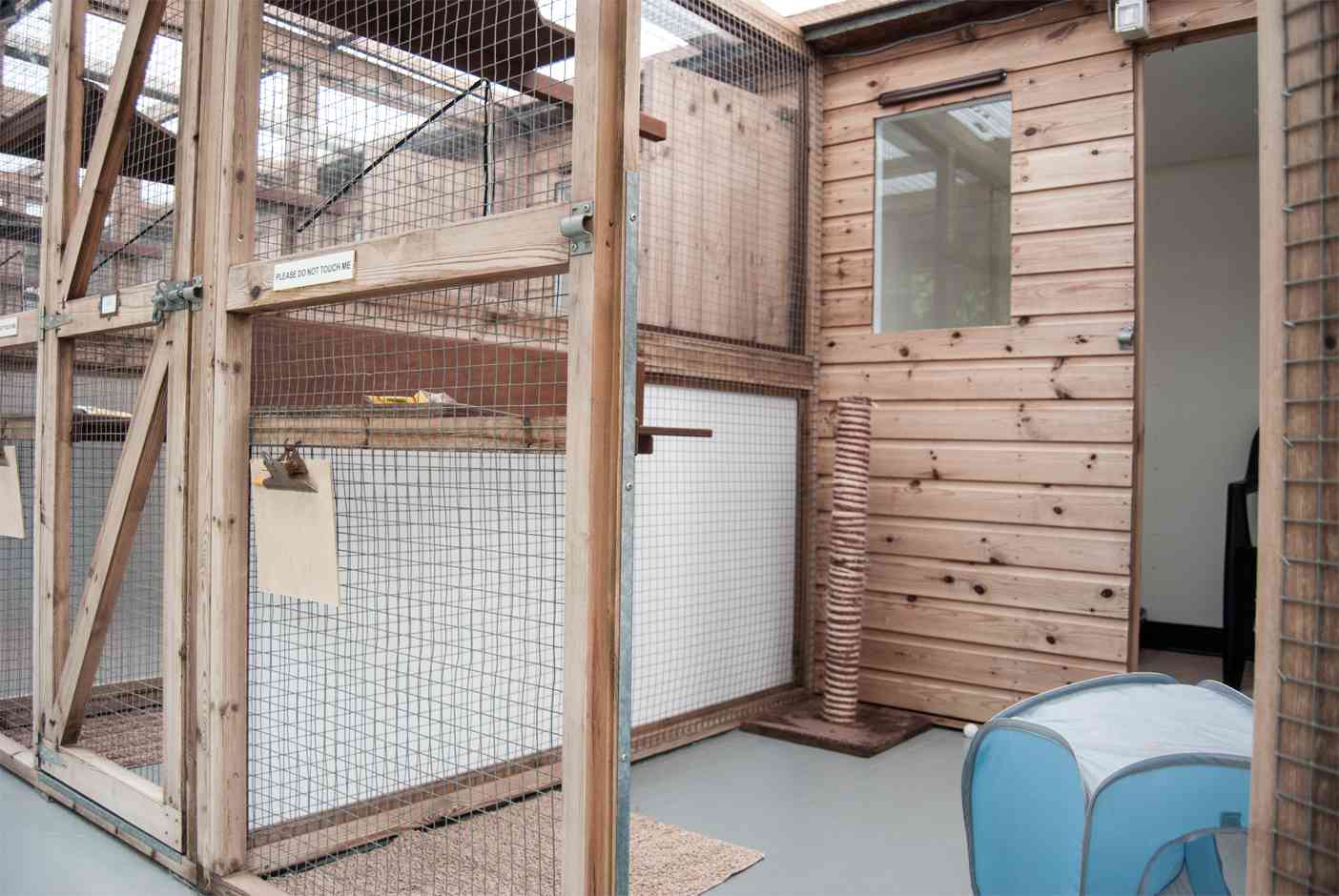 A cabin suitable for 1-2 cats sharing from same household